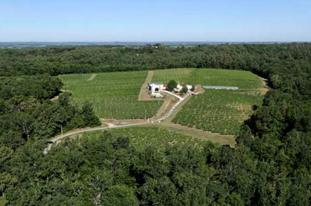 Domaine De Grand Homme Hotel Bordeaux Esterno foto