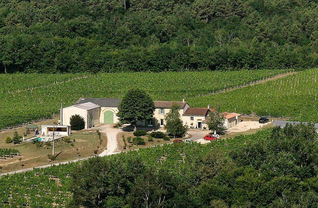 Domaine De Grand Homme Hotel Bordeaux Esterno foto